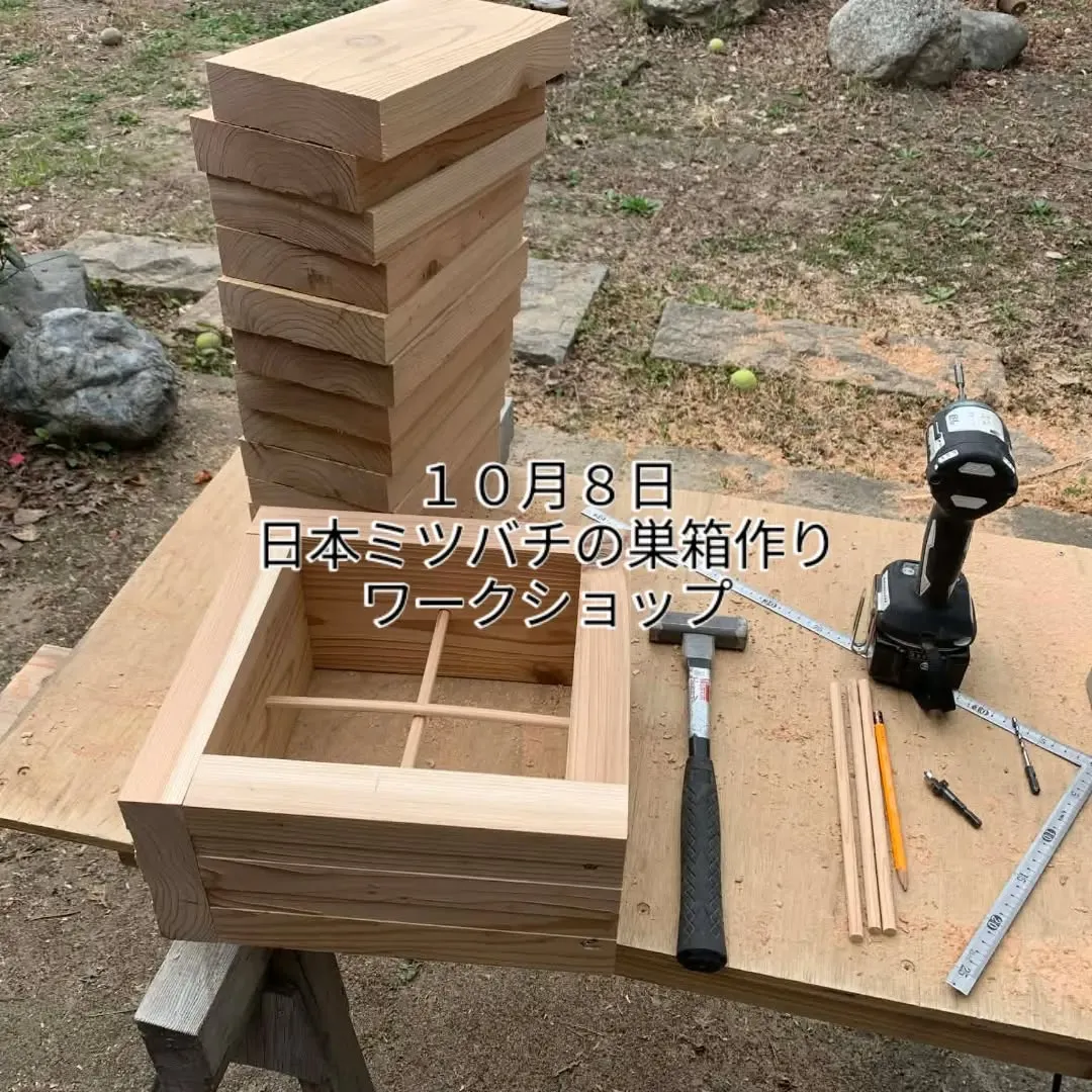 🐝 日本ミツバチと暮らしてみませんか？